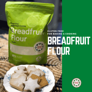 Nishi Breadfruit flour